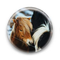 Badge chevaux