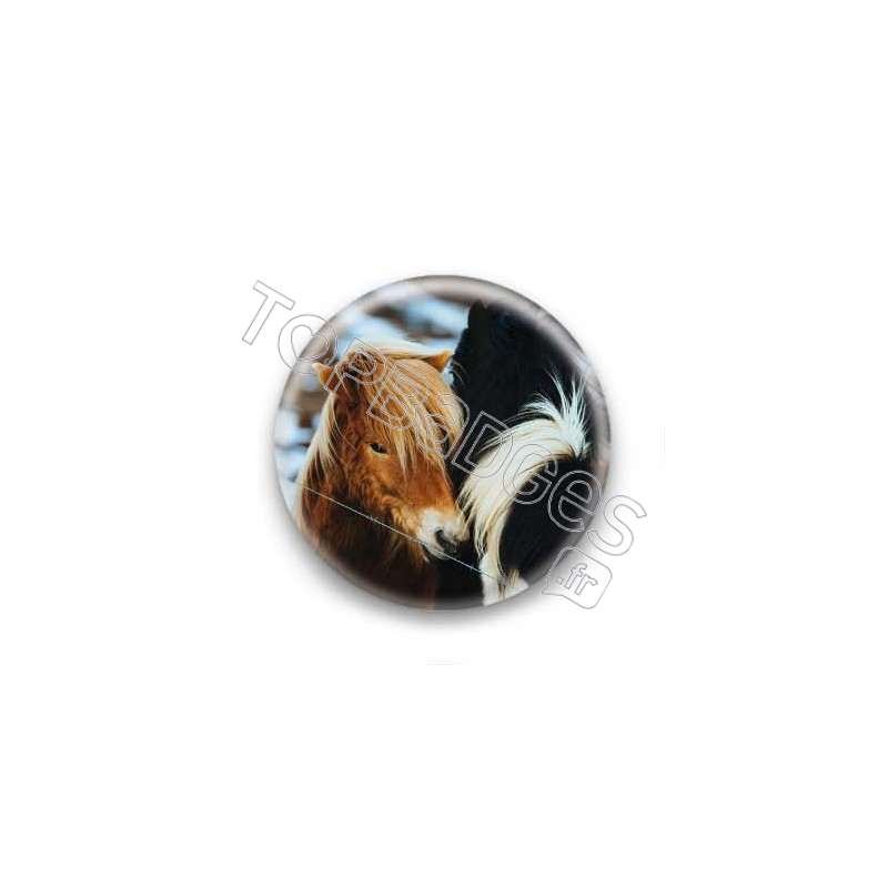 Badge chevaux