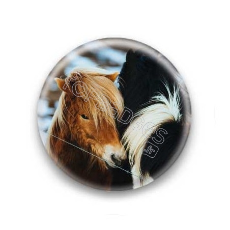 Badge chevaux