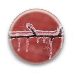Badge Leeroy - branche glacée