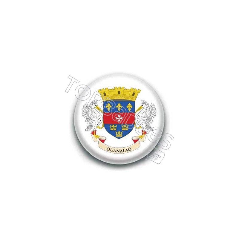 Badge drapeau Saint Barthélémy