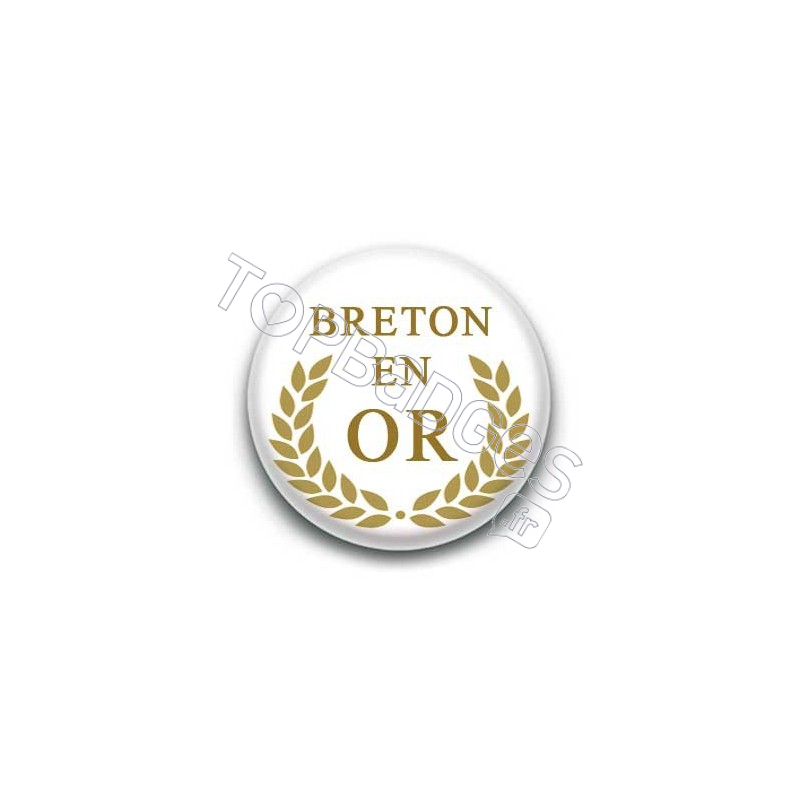 Badge breton en or fond blanc