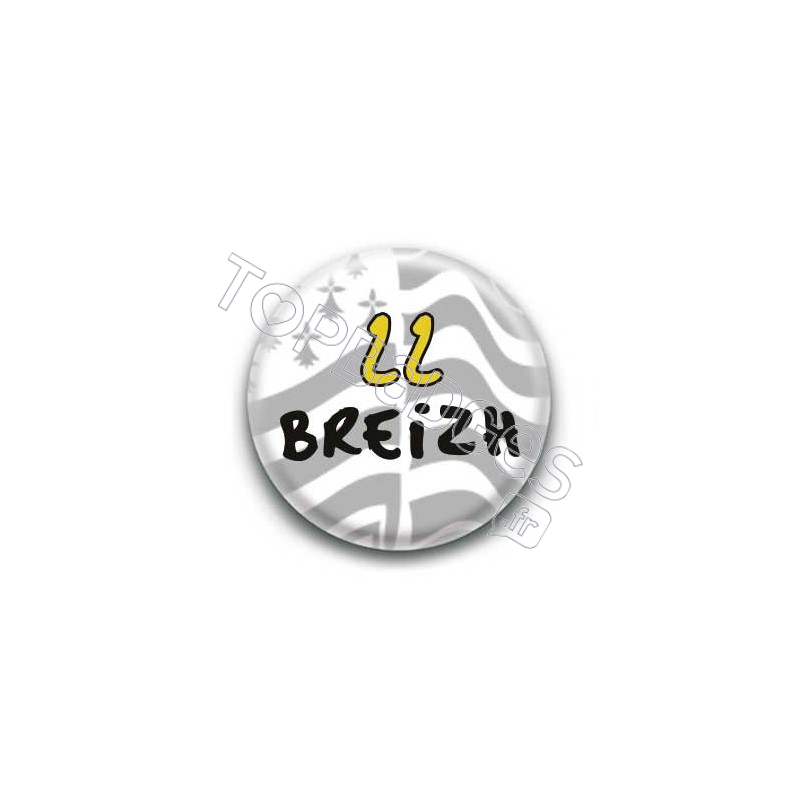 Badge 22 Breizh