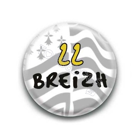 Badge 22 Breizh