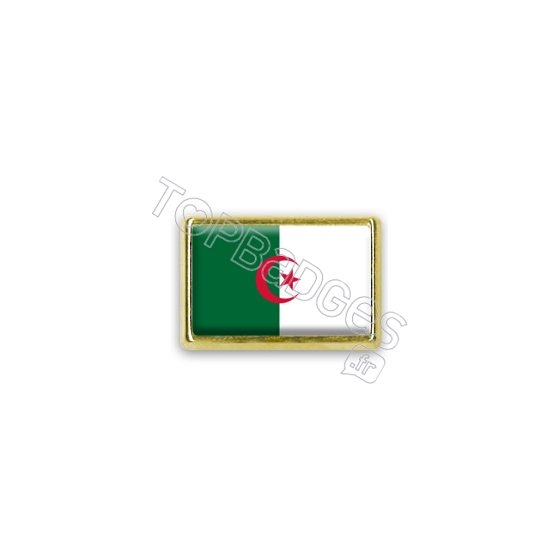 Pins rectangle : Drapeau Algérie