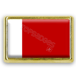 Pins rectangle : Drapeau de Dubaï