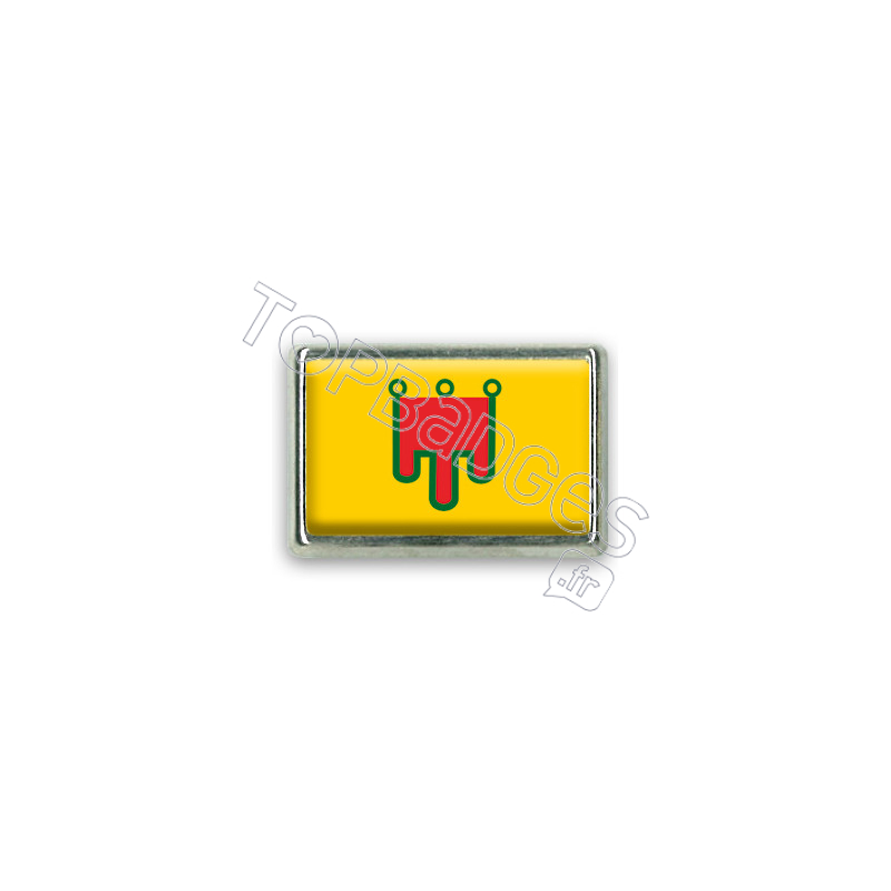 Pins rectangle : Drapeau Auvergne