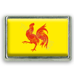 Pins rectangle : Drapeau Wallonie-Belgique