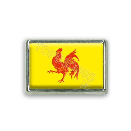 Pins rectangle : Drapeau Wallonie-Belgique