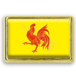 Pins rectangle : Drapeau Wallonie-Belgique