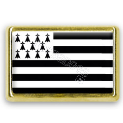 Pins rectangle : Drapeau Bretagne