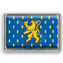 Pins rectangle : Drapeau Franche Comté