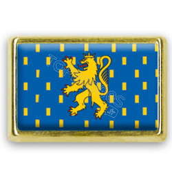 Pins rectangle : Drapeau Franche Comté