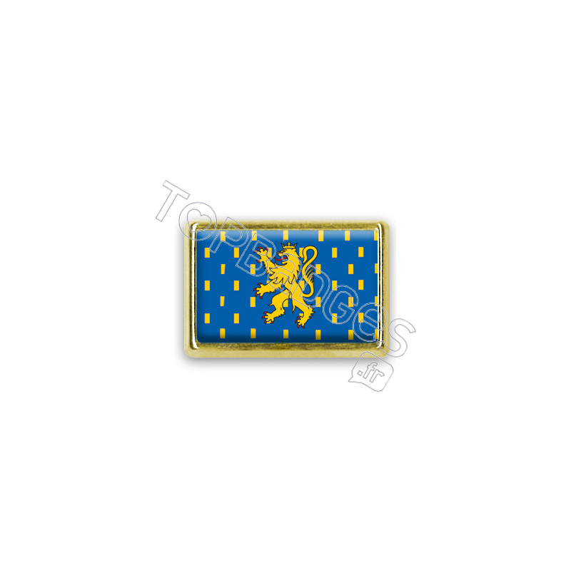 Pins rectangle : Drapeau Franche Comté