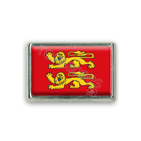 Pins rectangle : Drapeau Normandie
