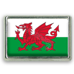 Pins rectangle : Drapeau Pays de Galles