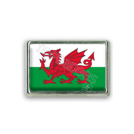 Pins rectangle : Drapeau Pays de Galles
