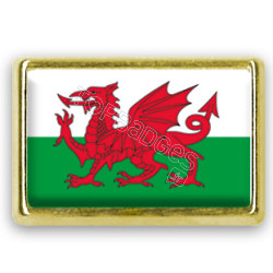 Pins rectangle : Drapeau Pays de Galles