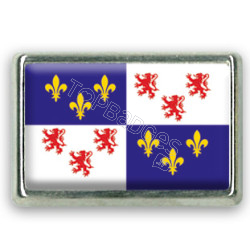 Pins rectangle : Drapeau Picardie