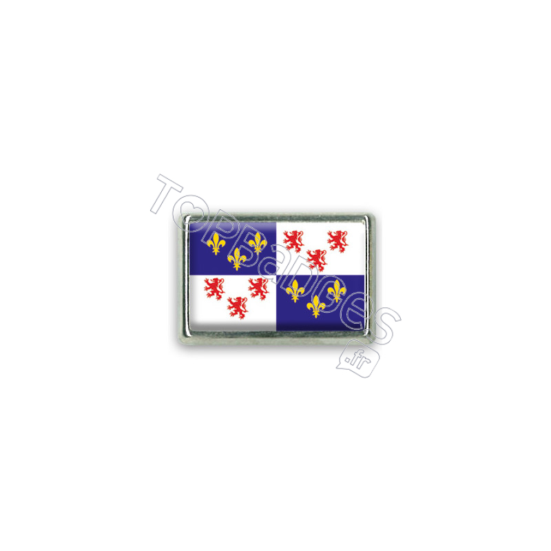 Pins rectangle : Drapeau Picardie