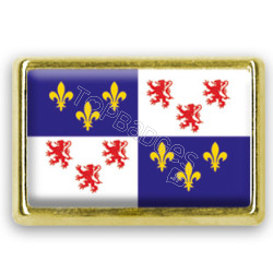 Pins rectangle : Drapeau Picardie