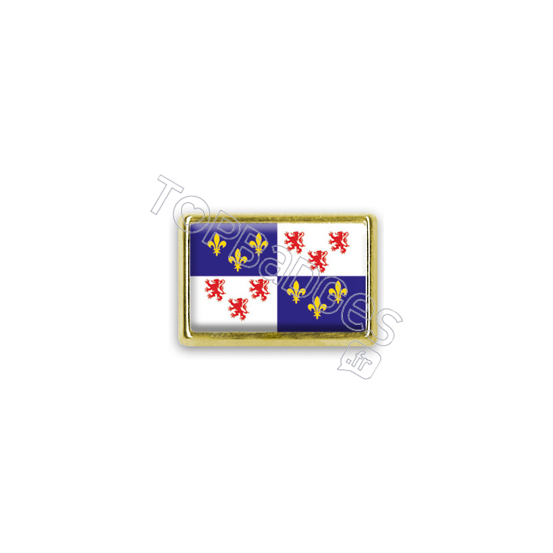 Pins rectangle : Drapeau Picardie
