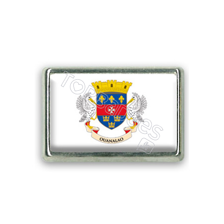 Pins rectangle : Drapeau Saint Barthélémy