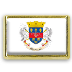 Pins rectangle : Drapeau Saint Barthélémy