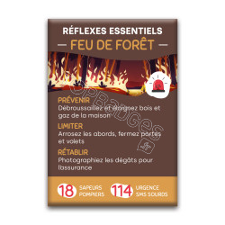 Magnet rectangle : Réflexes feu de forêt