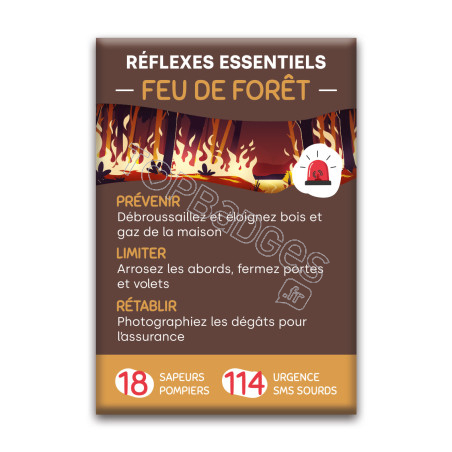 Magnet rectangle : Réflexes feu de forêt