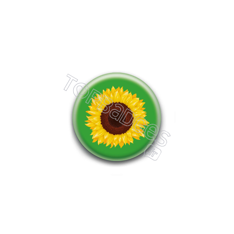 Badge : handicap invisible