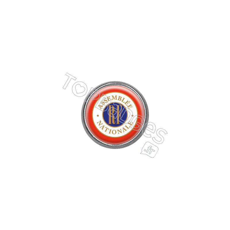 Pin's rond chromé : Assemblée nationale