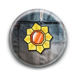 Badge Ligue Pokemon 6