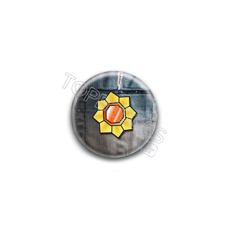 Badge Ligue Pokemon 6
