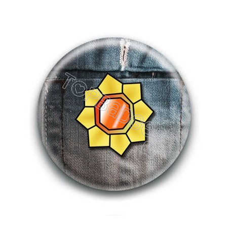 Badge Ligue Pokemon 6