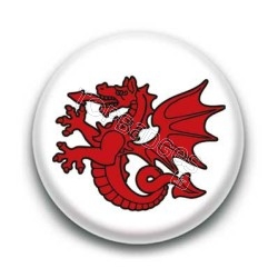 Badge Symbole Dragon Rouge Breton