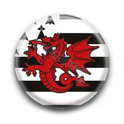 Badge Drapeau Dragon Rouge Breton