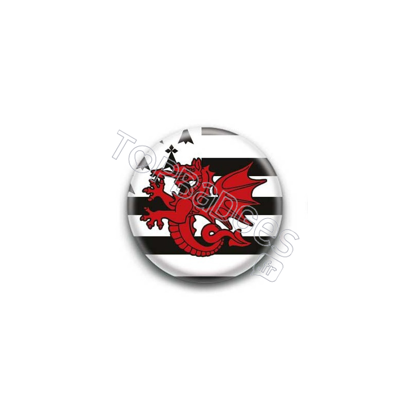 Badge Drapeau Dragon Rouge Breton