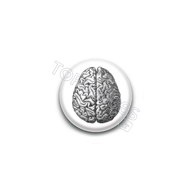 Badge cerveau