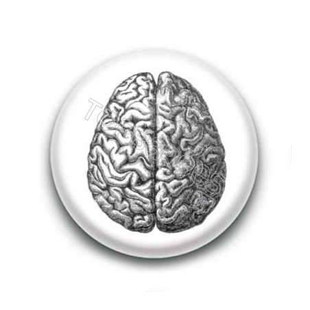 Badge cerveau